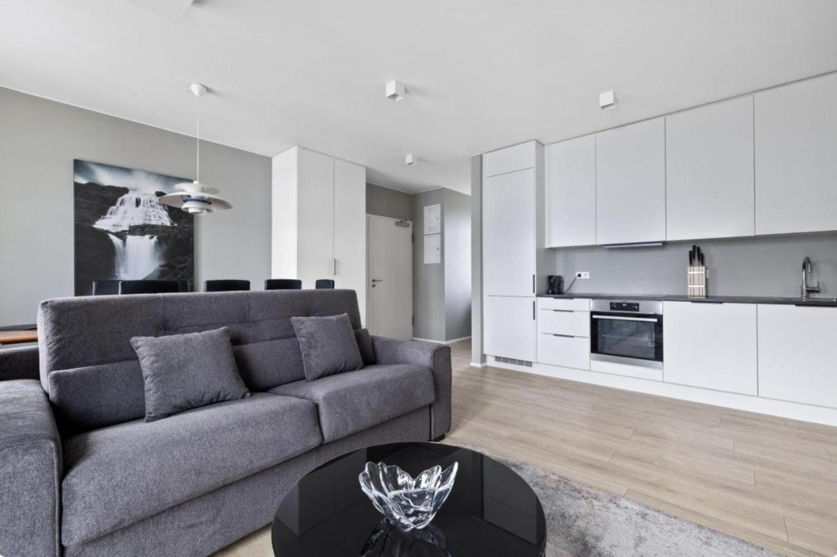 Cheerful Down Town Apartment Reykjavik Ngoại thất bức ảnh